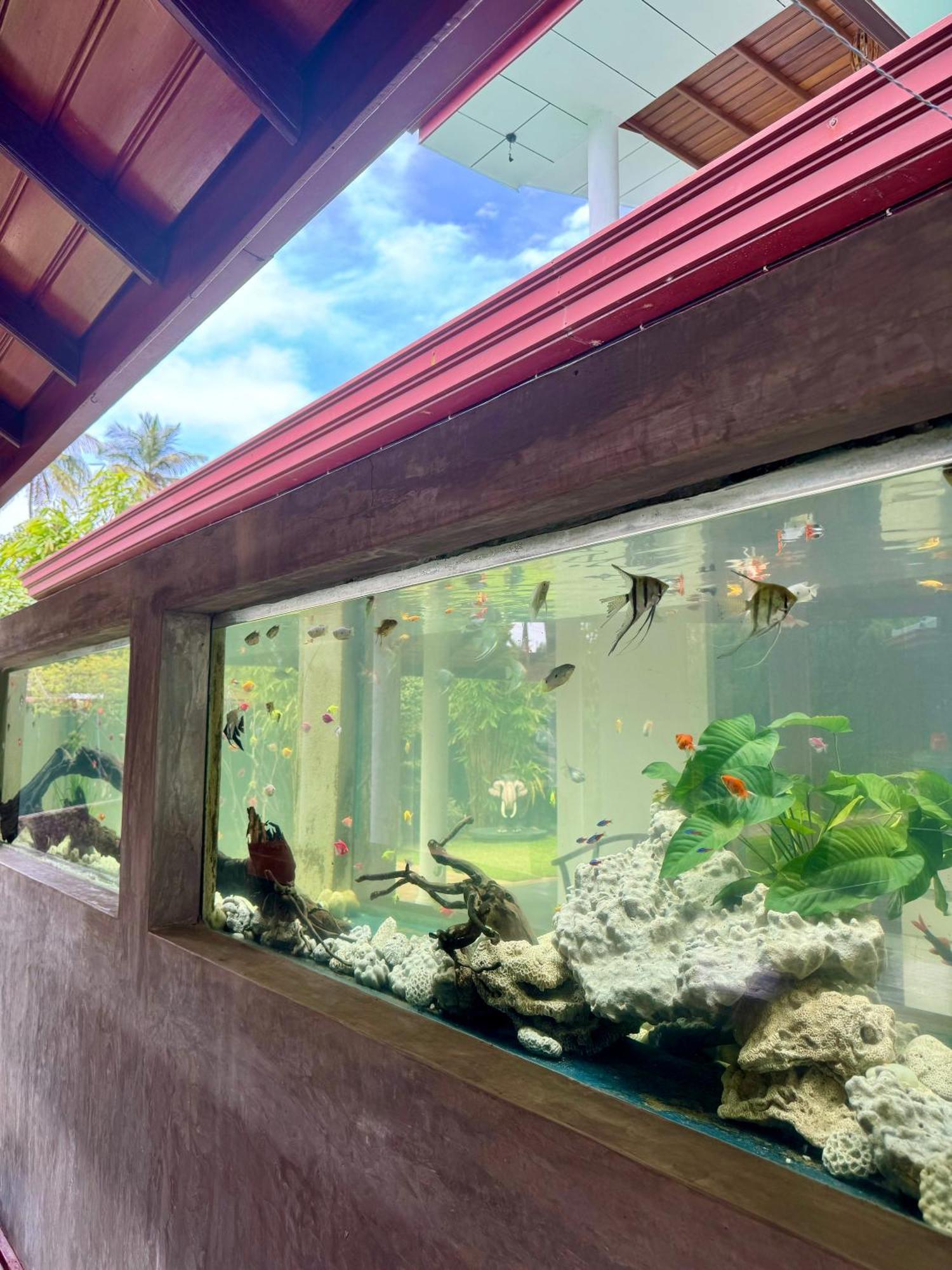 Villa 4U Bentota Dış mekan fotoğraf