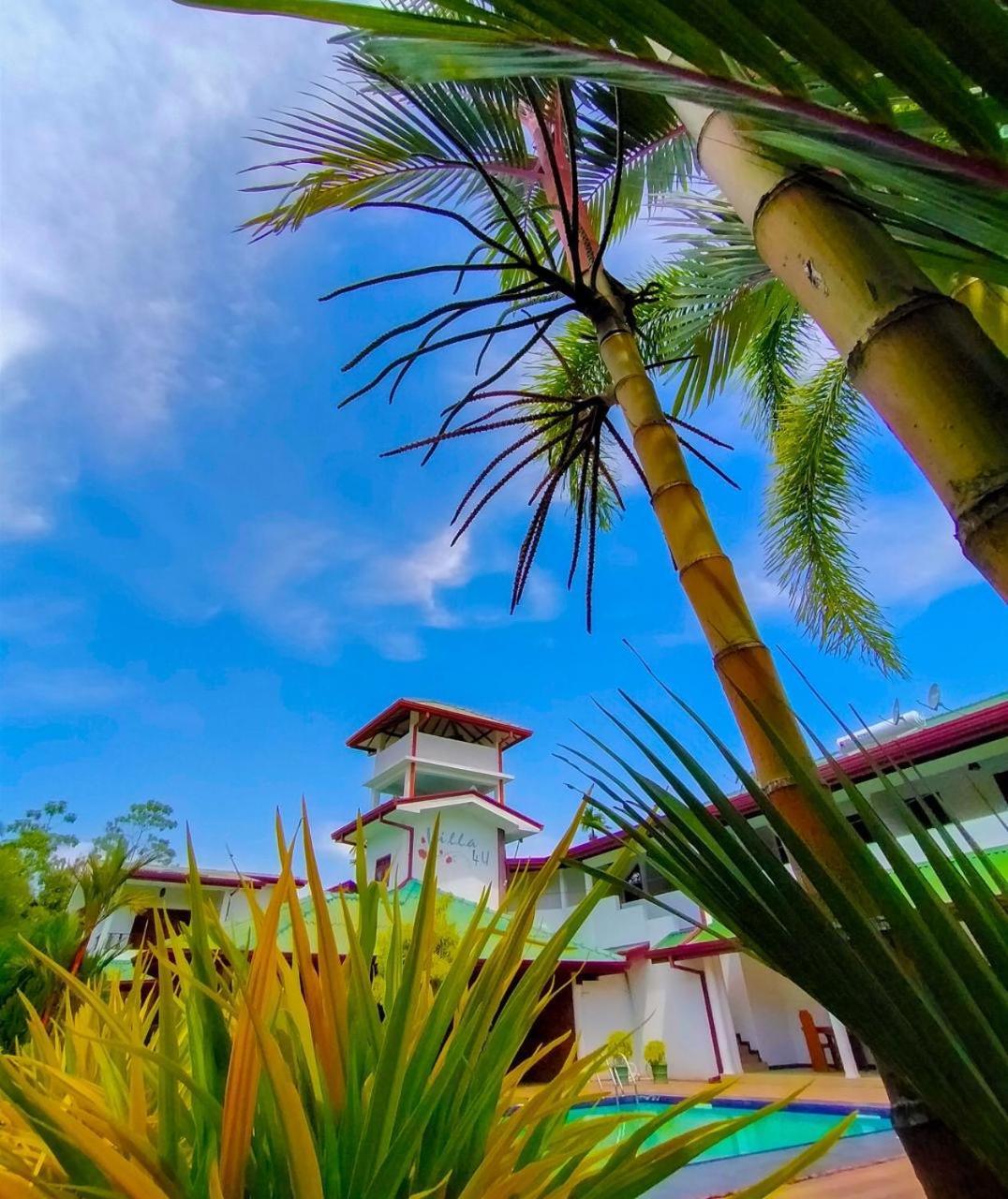 Villa 4U Bentota Dış mekan fotoğraf